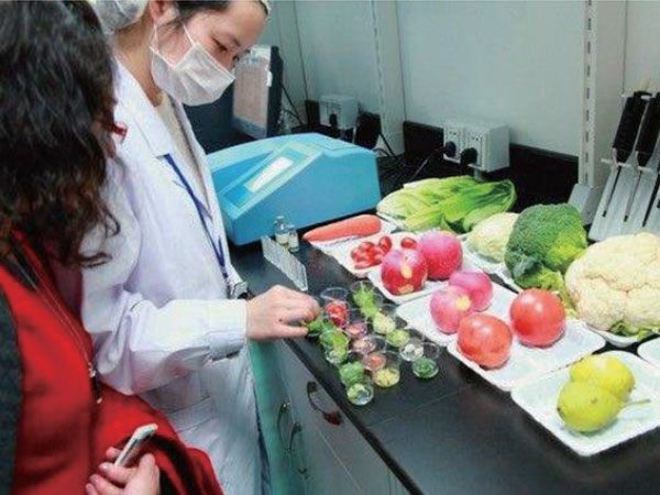 有機蔬菜配送：新鮮、健康、直送到家